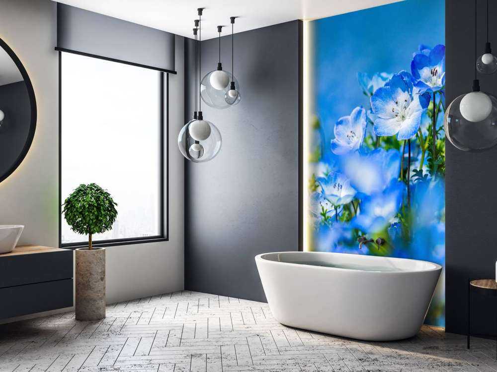 Jonquilles bleu blanc