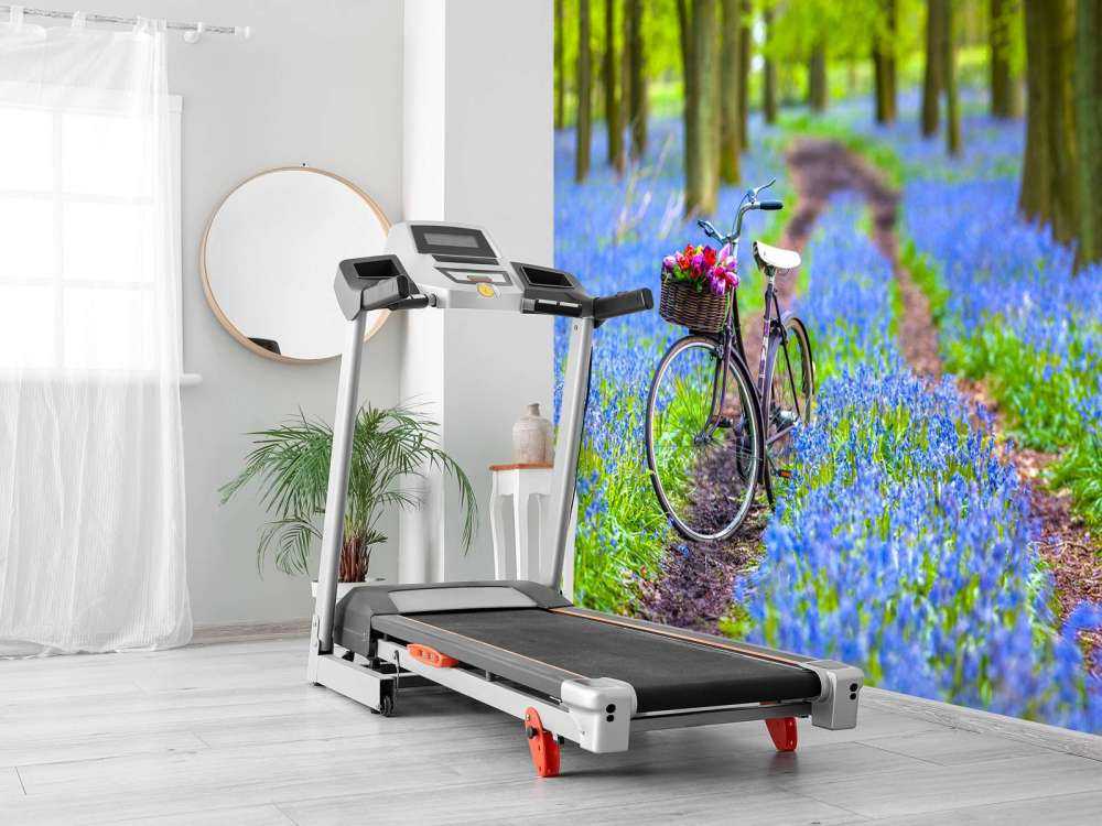 Belle bicyclette dans la forêt