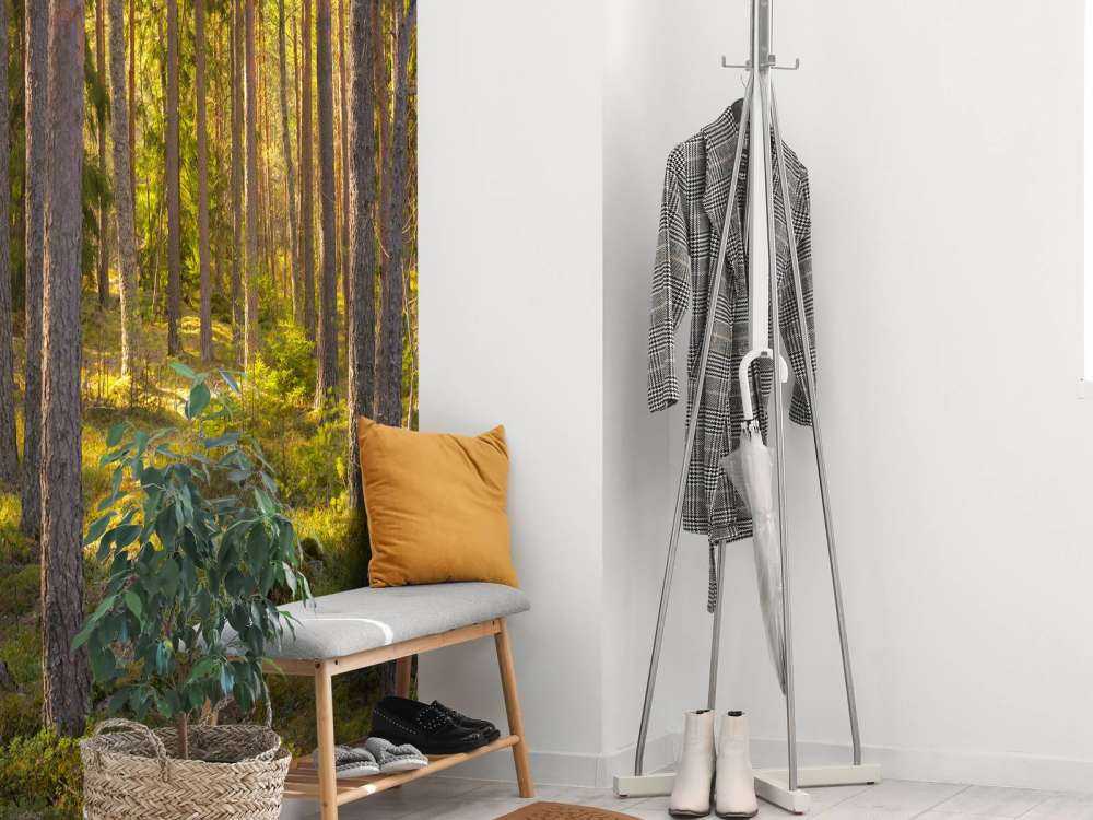 Forêt en été