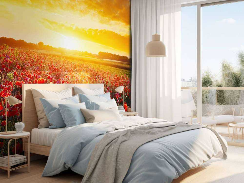 Coquelicots et coucher de soleil