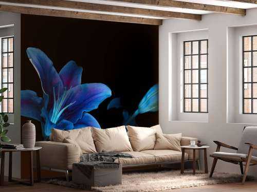 Fleurs ultraviolettes