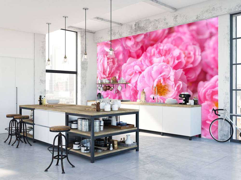 Plusieurs roses roses