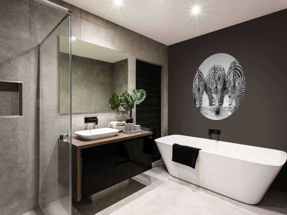 Three zebras