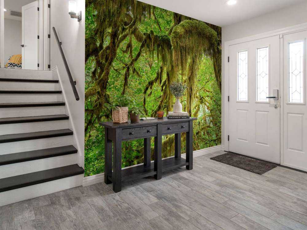 Mousse sur branches d'arbres