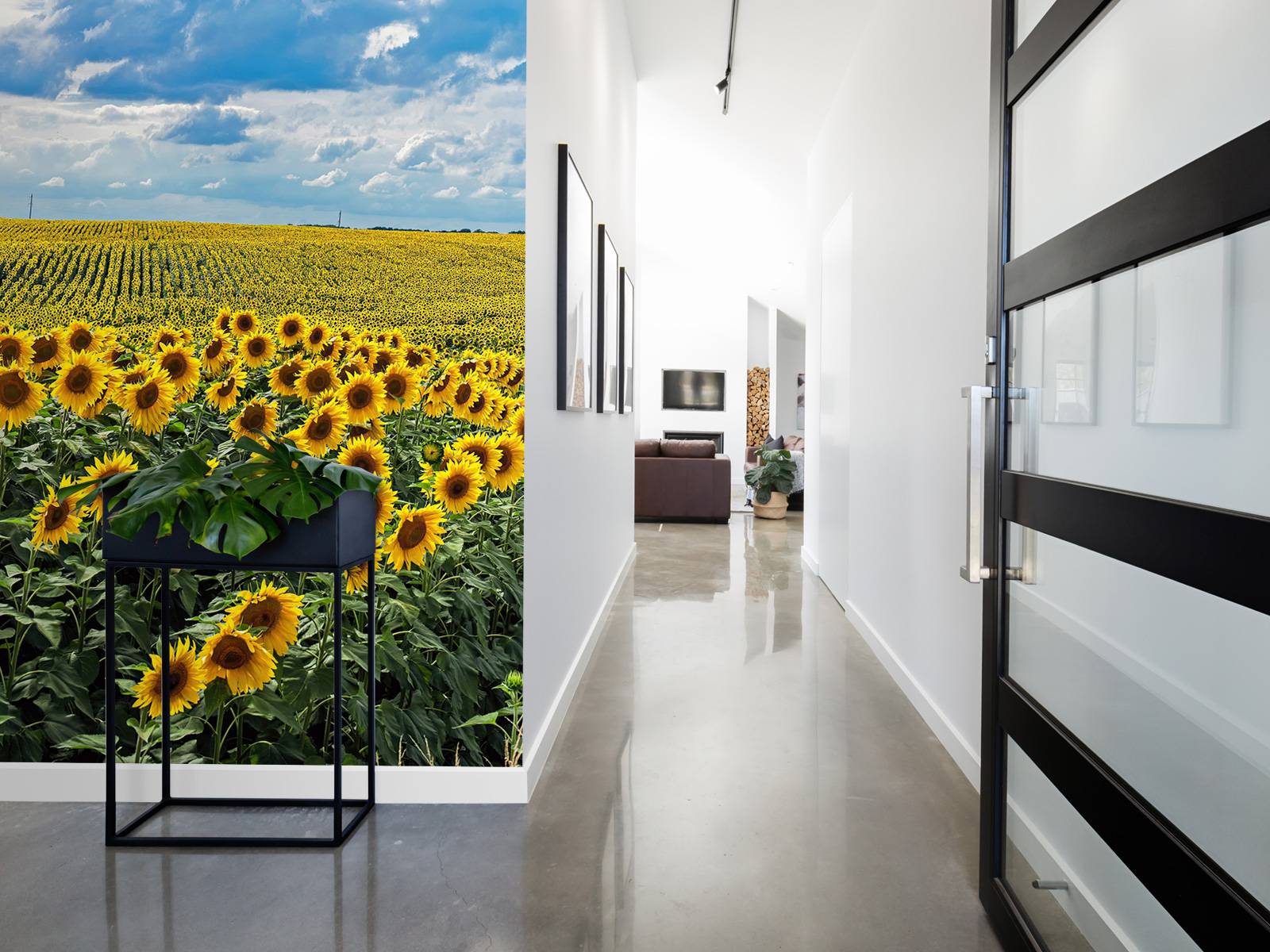 Une prairie pleine de tournesols
