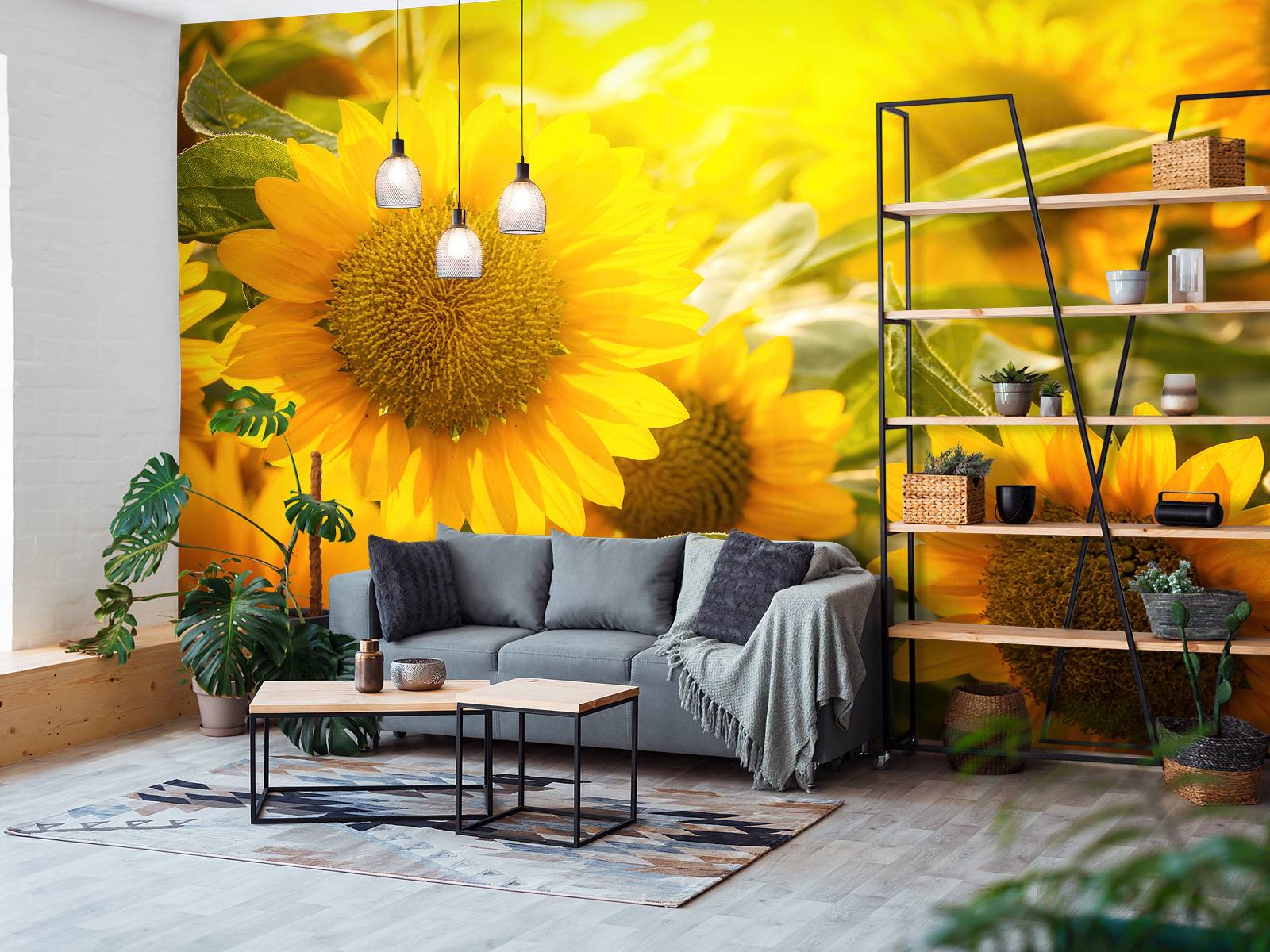 Les tournesols et le soleil