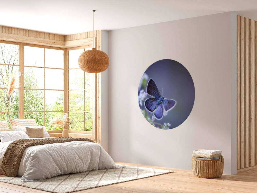 Papillon bleu
