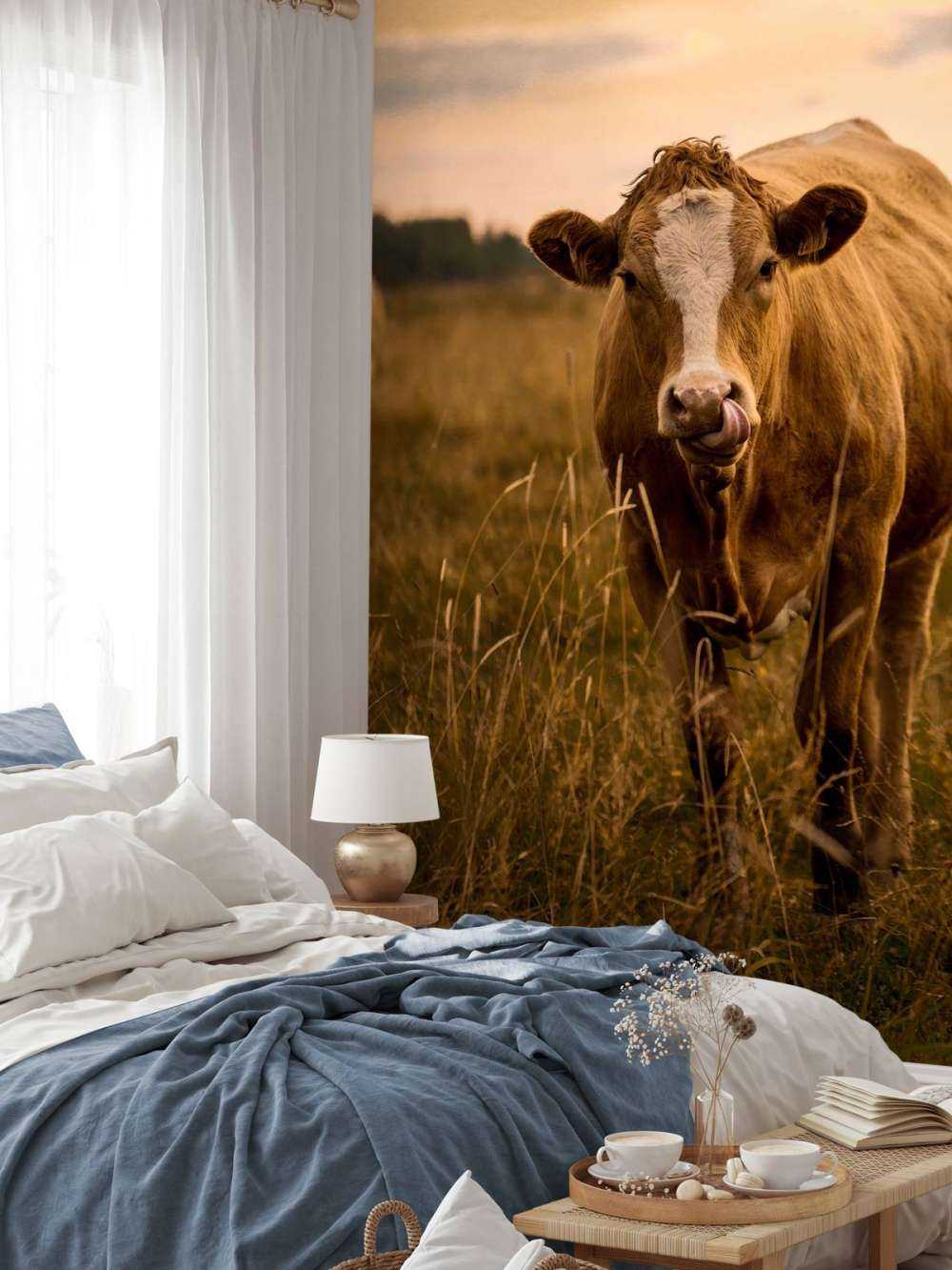 Vache avec la langue dans le nez