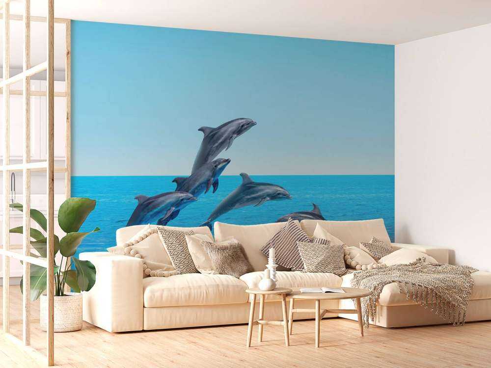 Dauphins sauteurs