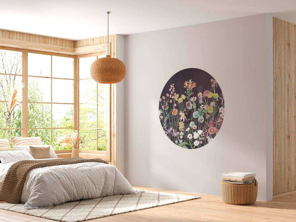 Primula 12