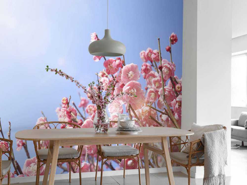 Fleurs avec un ciel bleu