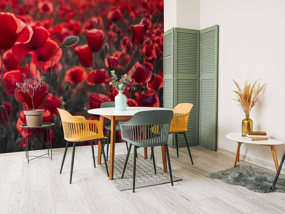 Des coquelicots dans un style sombre