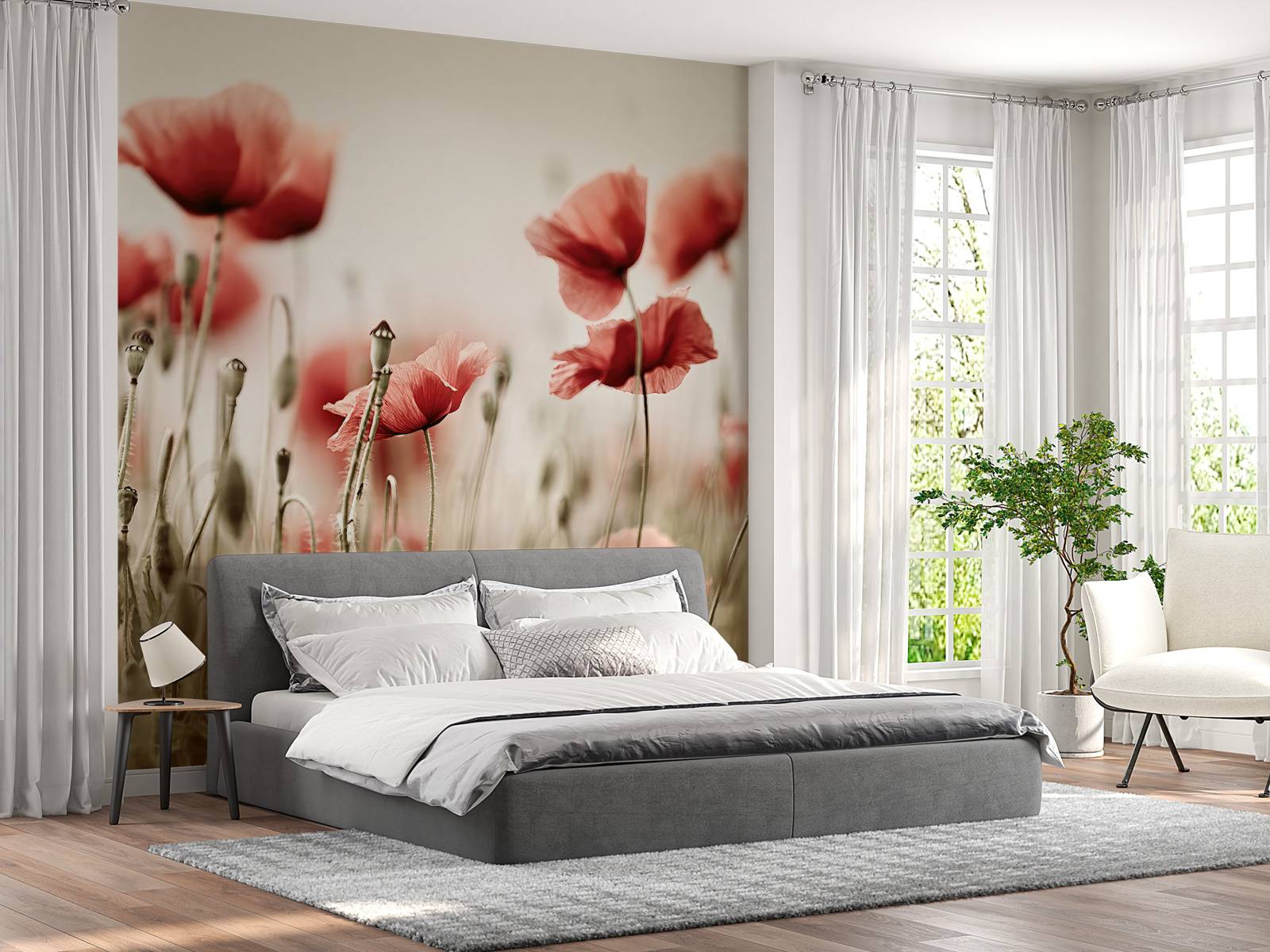 Des coquelicots de rêve