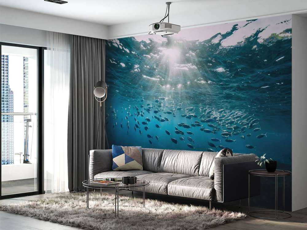 Banc de poissons