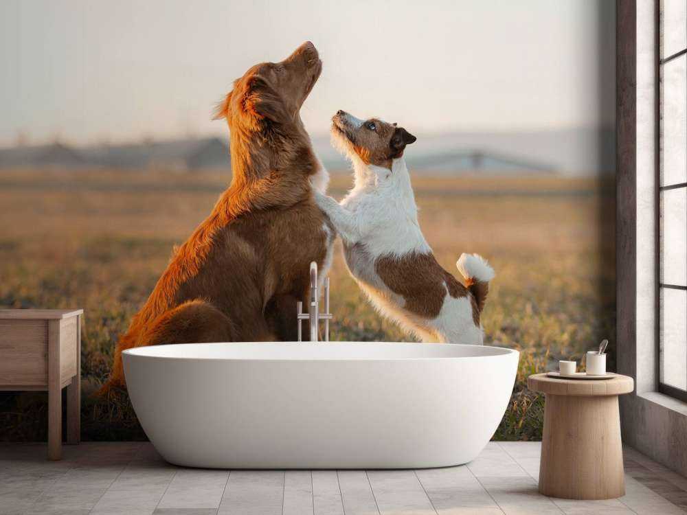 Recherche de chiens