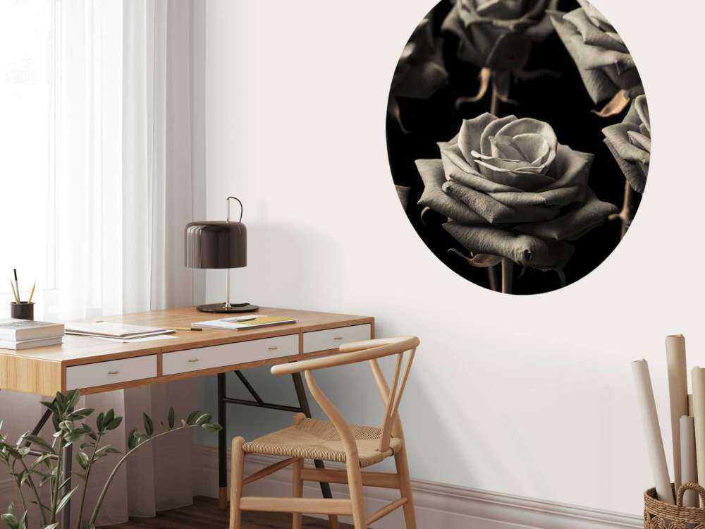 Roses sépia