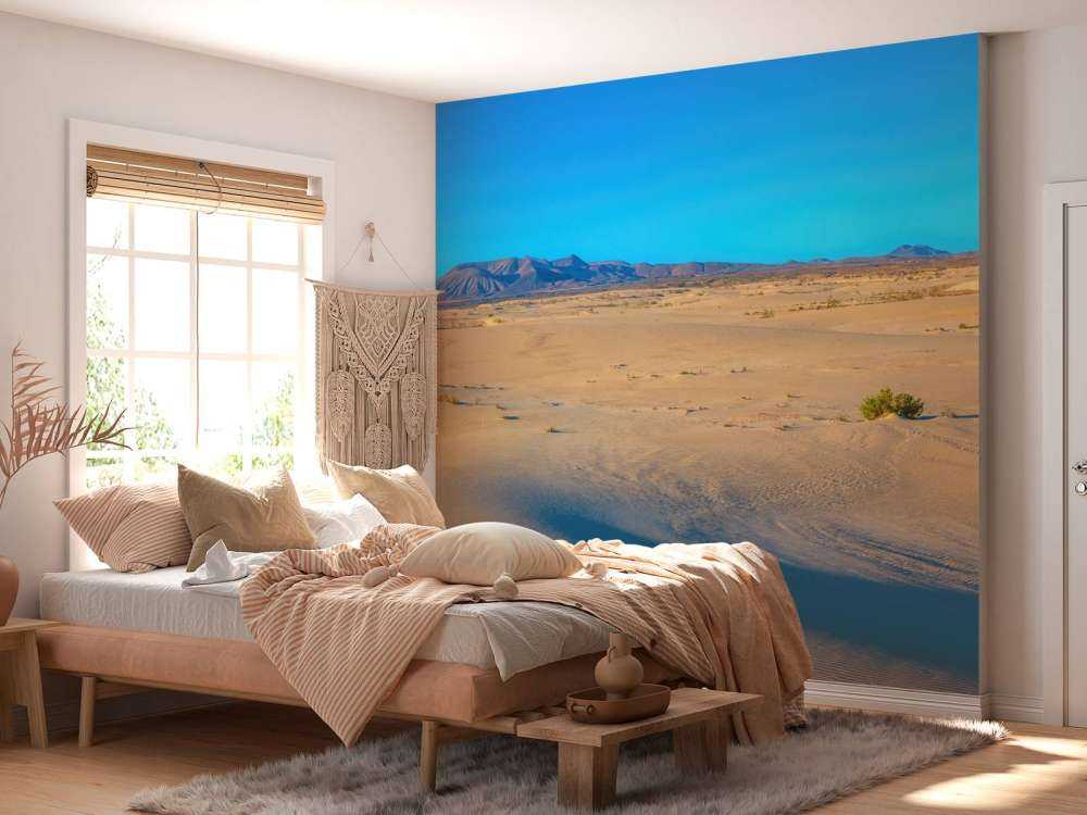 Lever de soleil sur des dunes de sable