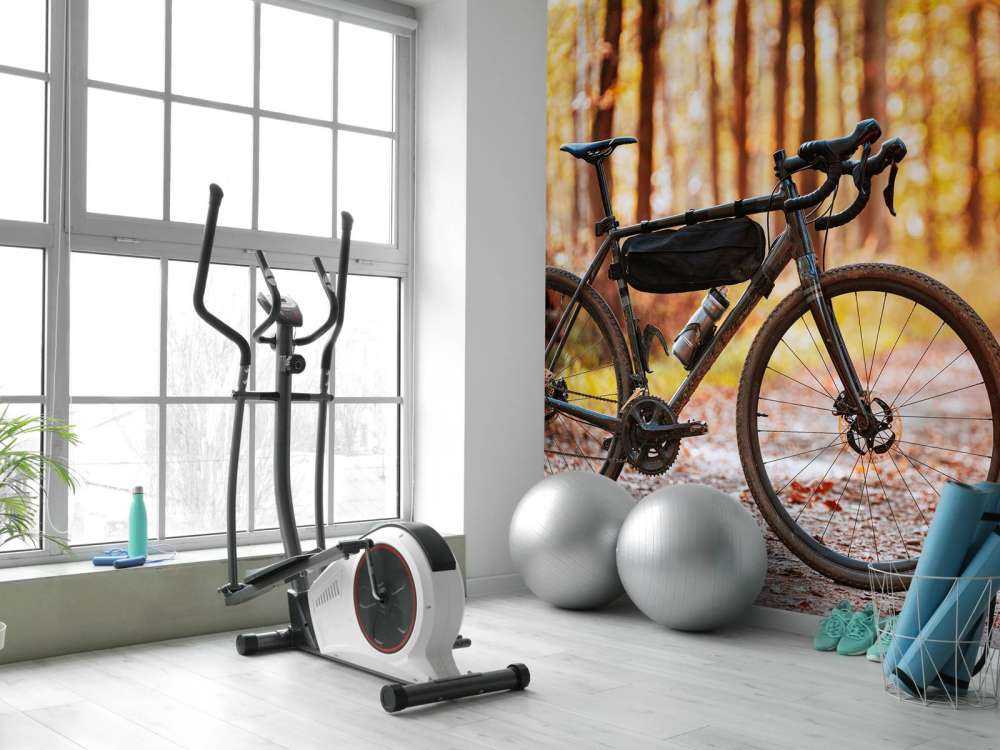 Vélo en automne