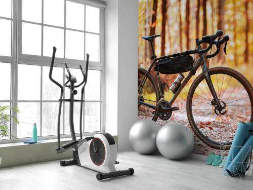 Vélo en automne