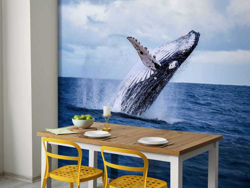 Baleine sauteuse