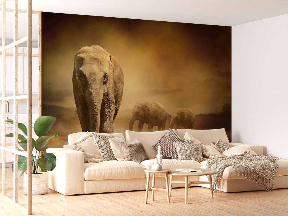 Trois éléphants