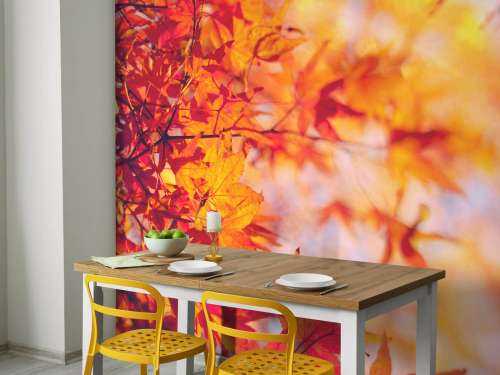 Feuilles d'automne