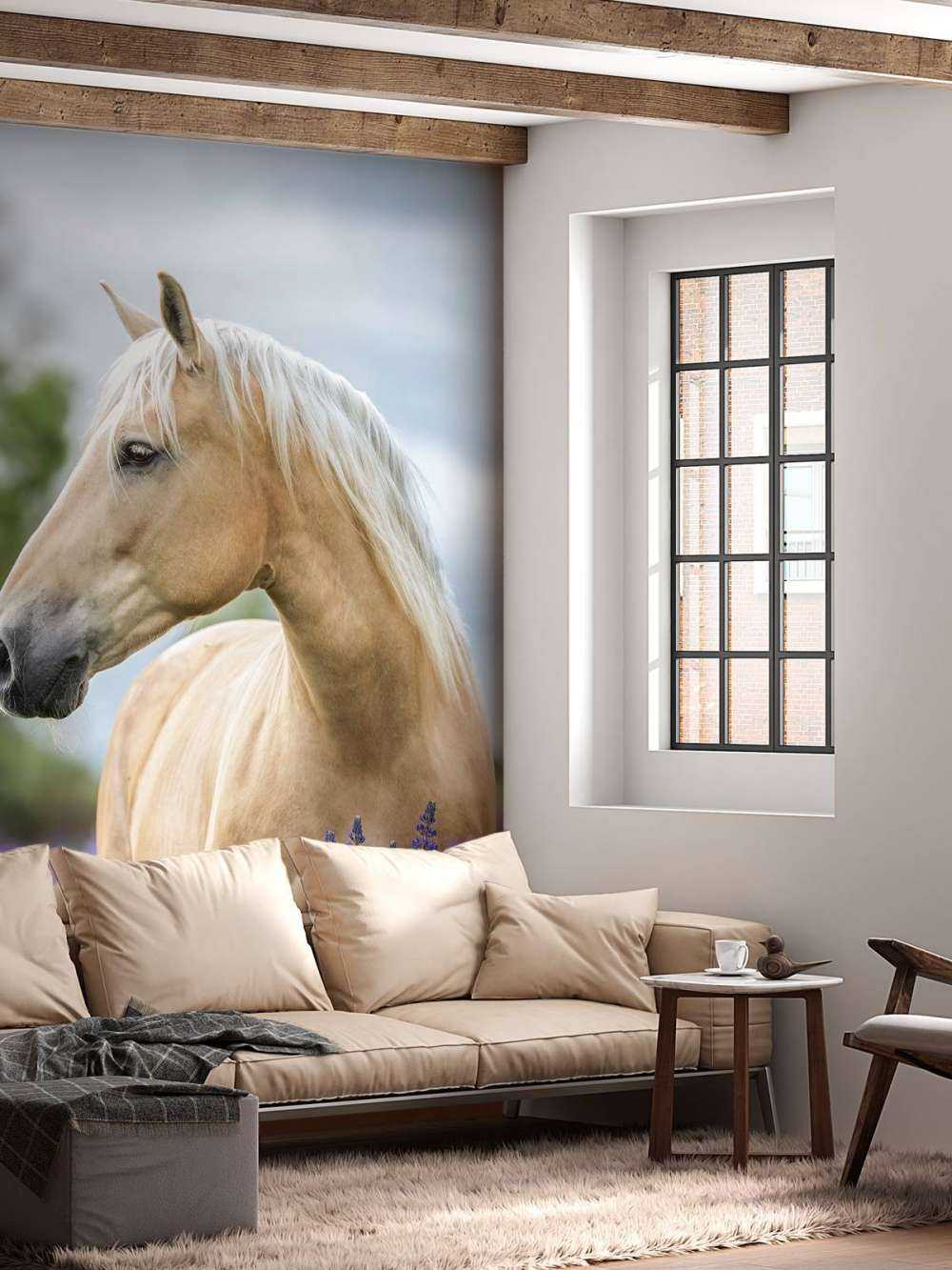 Cheval parmi les fleurs de papillon