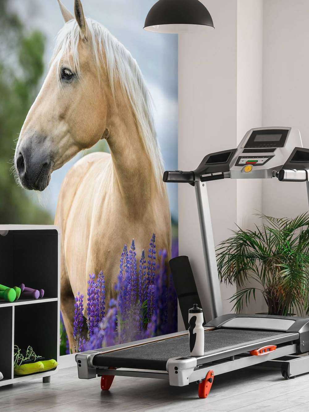Cheval parmi les fleurs de papillon
