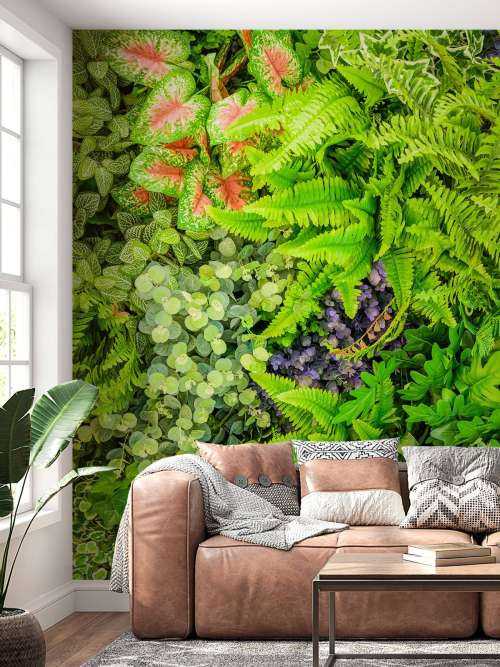 Mélange de plantes