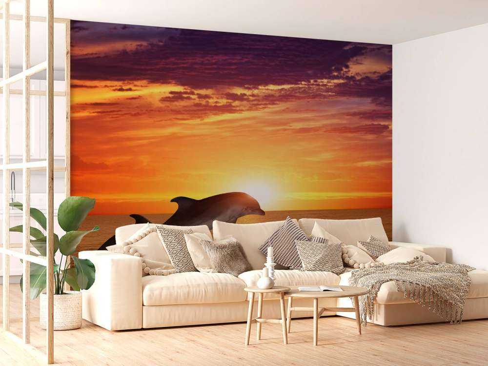 Dauphins sous le coucher du soleil