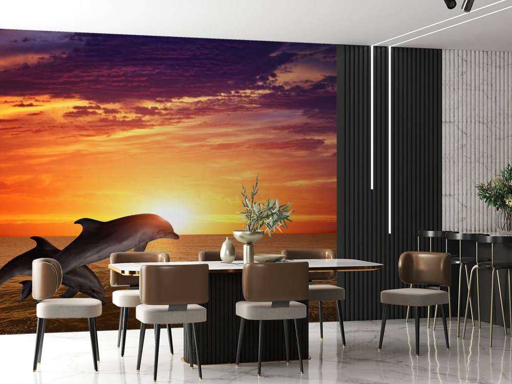 Dauphins sous le coucher du soleil