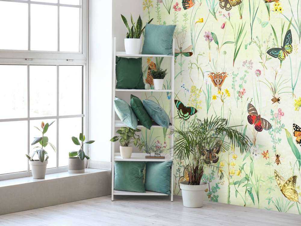 Prairie de Papillons