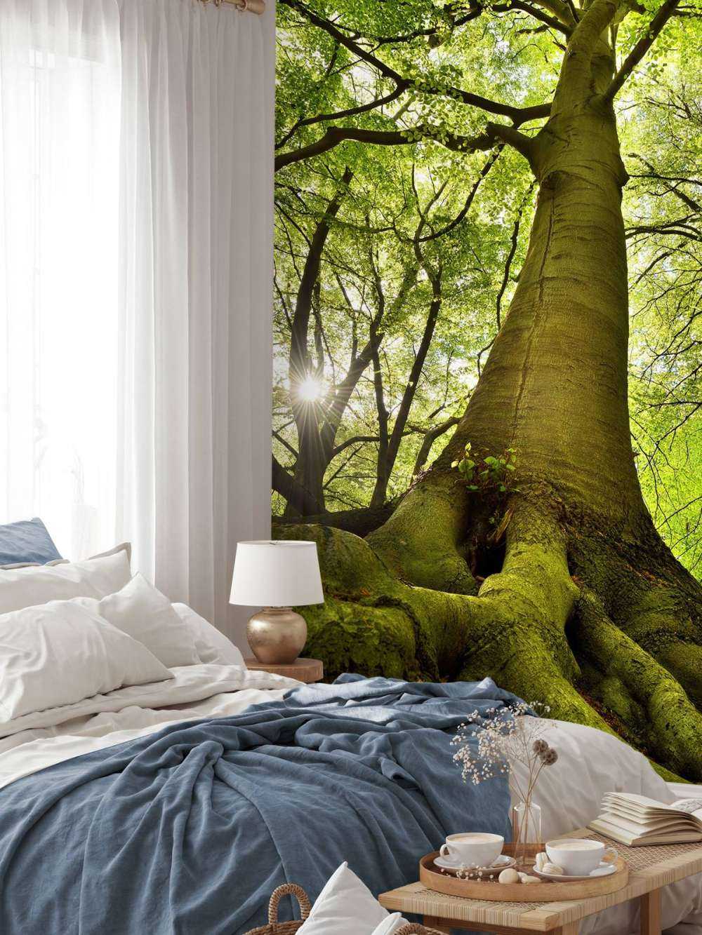 Grand arbre et racines