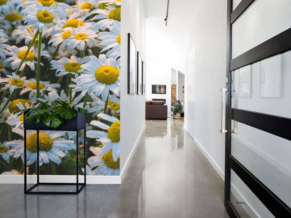 Marguerites vintage