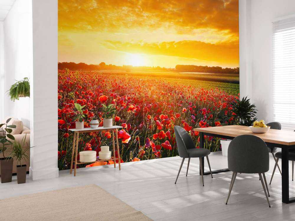 Coquelicots et coucher de soleil