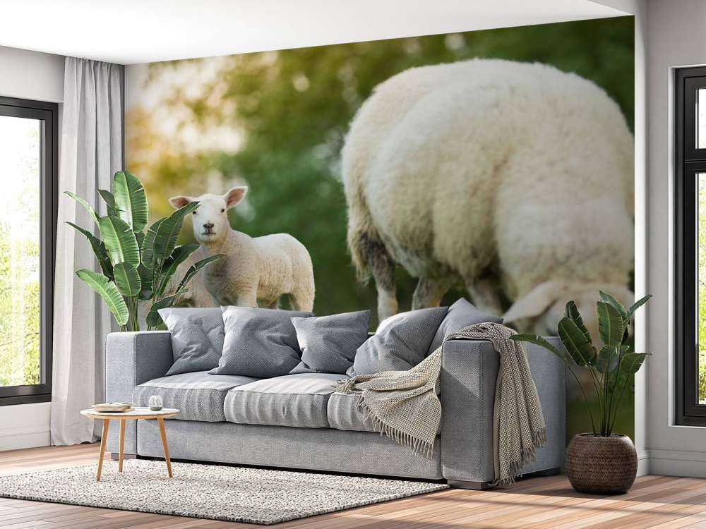 Mouton mère avec agneaux