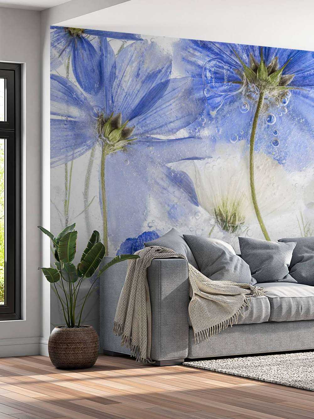Cosmos blue