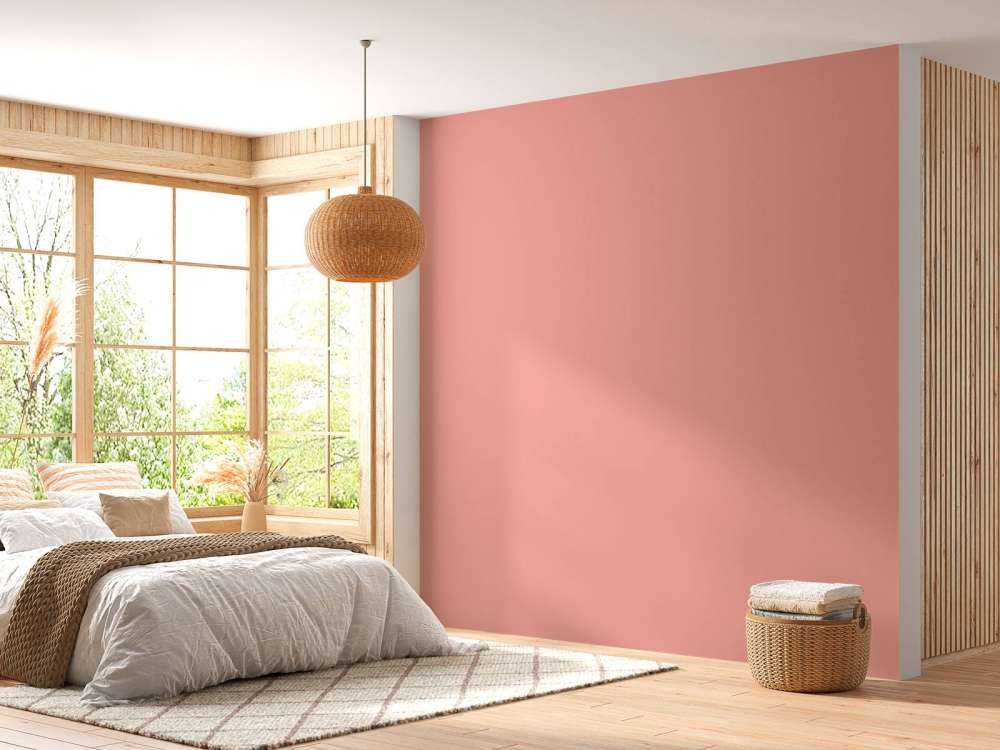 Rose pastel