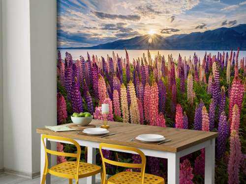 Lupins lakeside