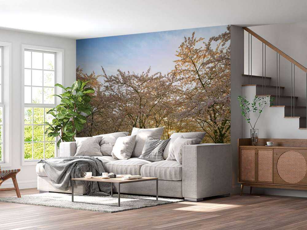 Arbres à fleurs