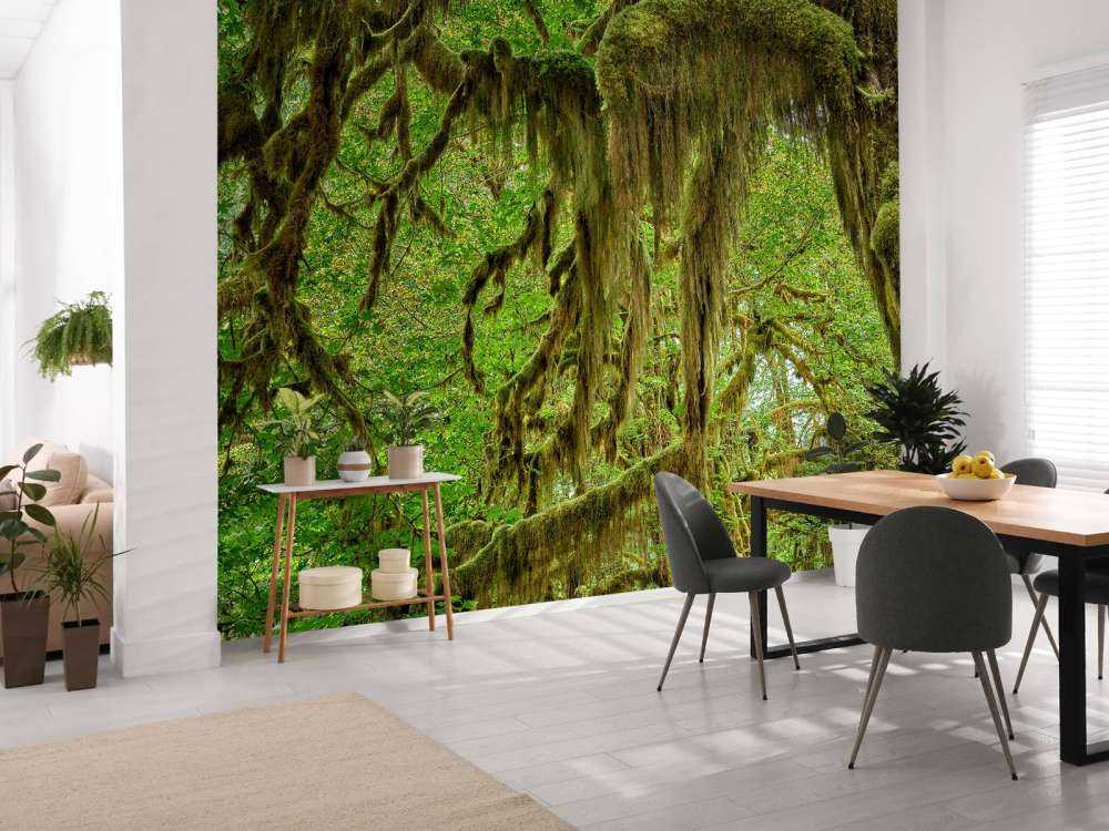Mousse sur branches d'arbres