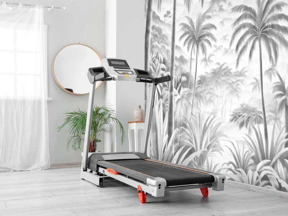 Oasis Tropicale de Montagne