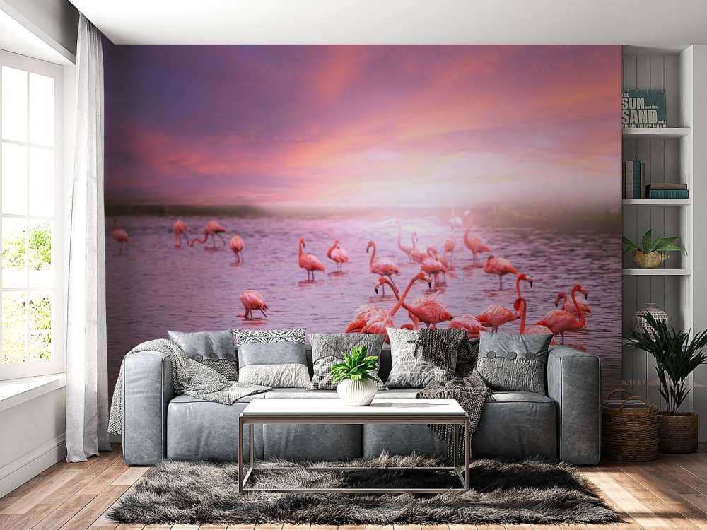 Flamants et le coucher de soleil