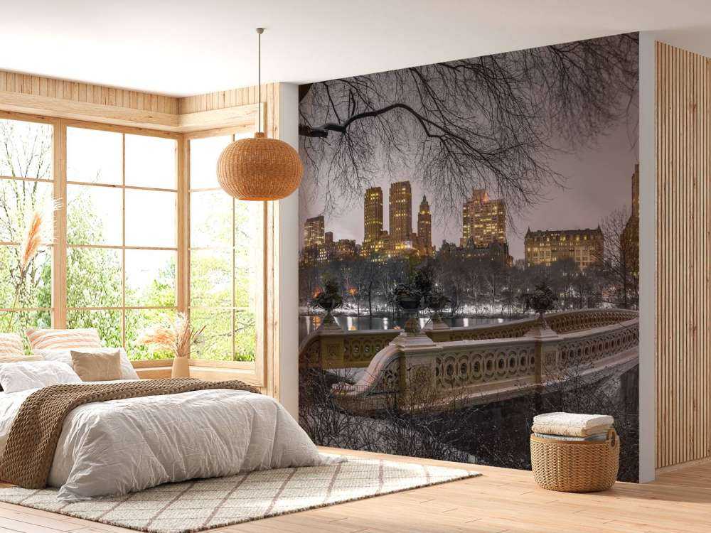 Central park et Manhattan