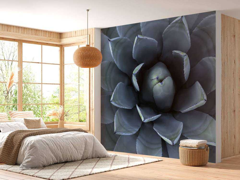 Bleu succulent