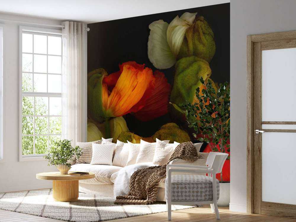 Coquelicots bourgeonnants