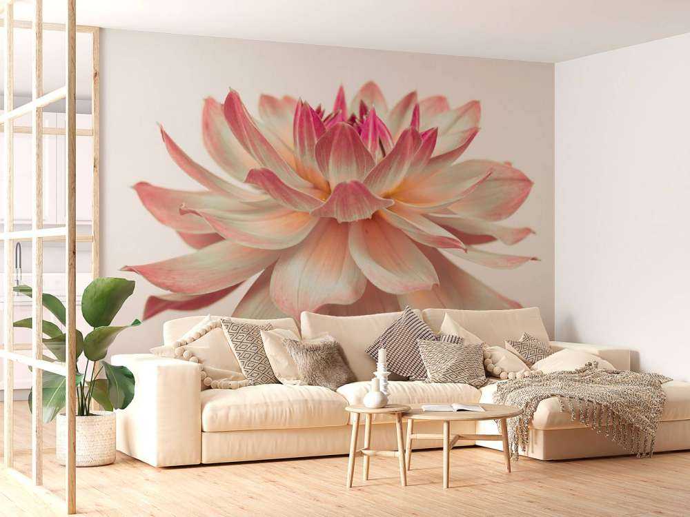 Fleur de dahlia
