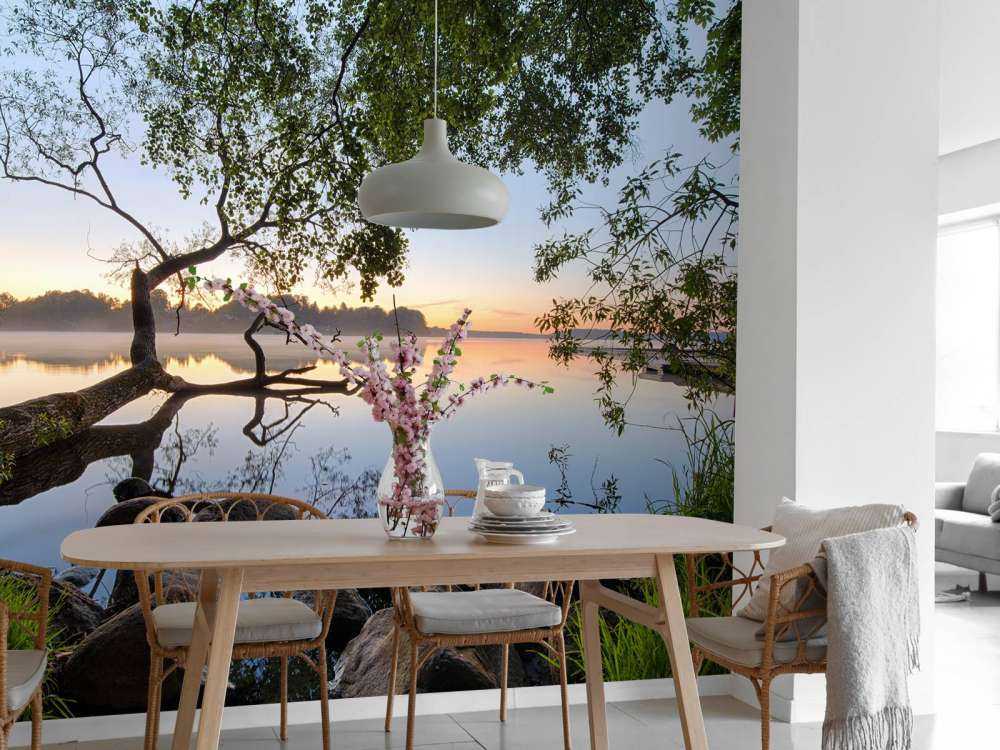 Lake view