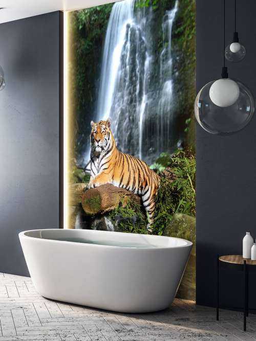 Tigre dans la jungle