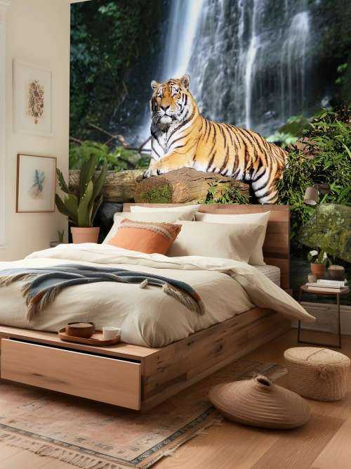 Tigre dans la jungle